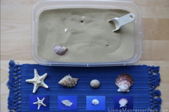 Montessori by the Sea and The…